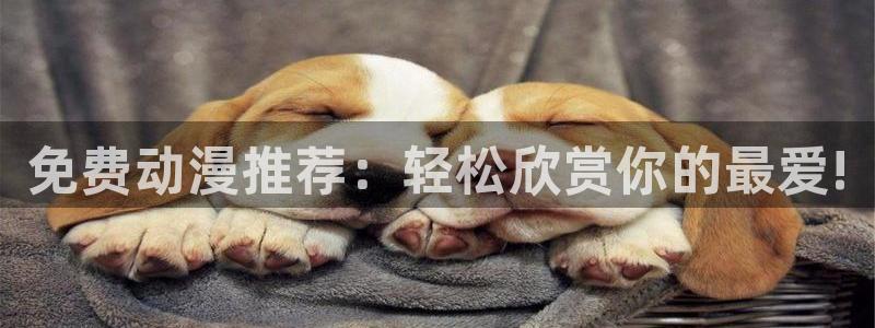 里番本子动漫：免费动漫推荐：轻松欣赏你的最爱!