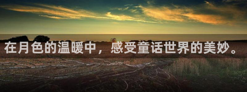 日本动漫里番动漫：在月色的温暖中，感受童话世界的美妙。