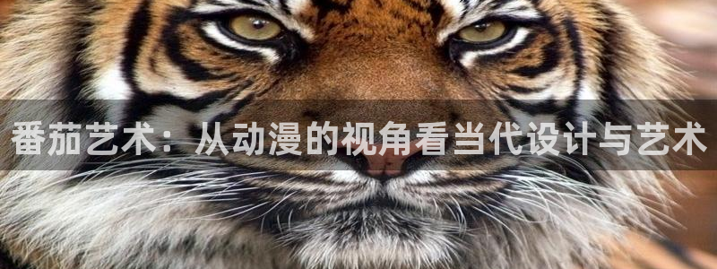里番有哪些好看的动漫