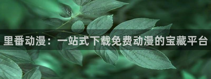 动漫里番大全