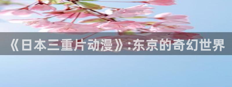里番动漫网站