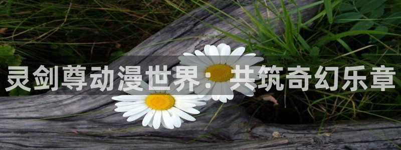 里番经典动漫