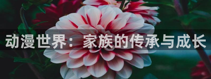 里番在线动漫