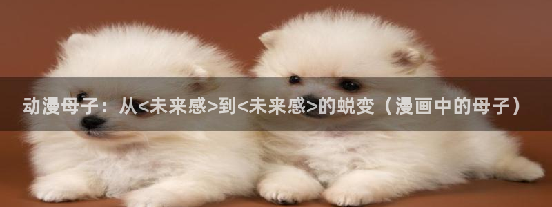 女仆里番动漫：动漫母子：从<未来感>到<未来感>的蜕变（漫画中的母子）