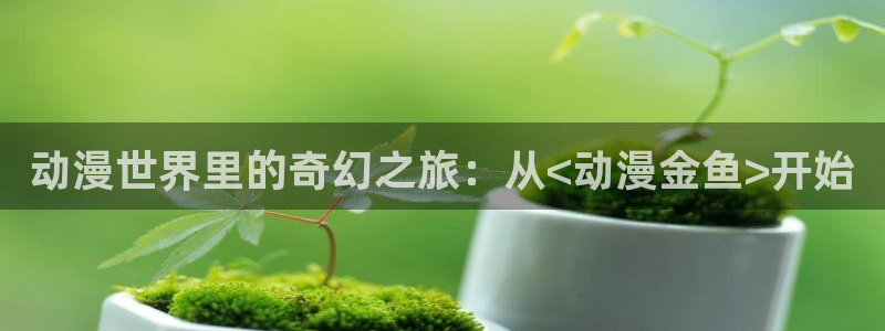 里番漫画排名：动漫世界里的奇幻之旅：从<动漫金鱼>开始