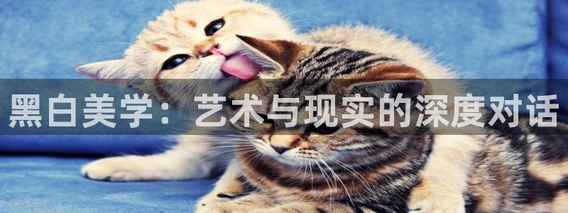 动漫里番资源：黑白美学：艺术与现实的深度对话