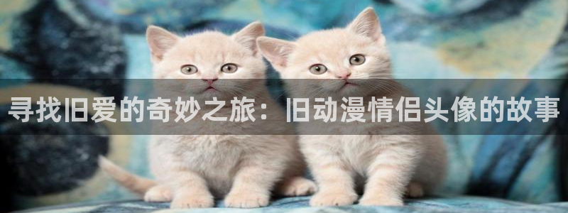 动漫里番网页
