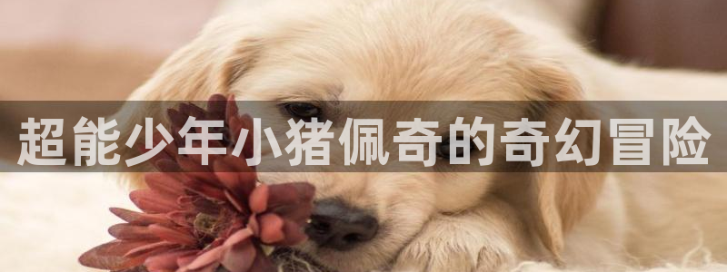 推荐里番动漫