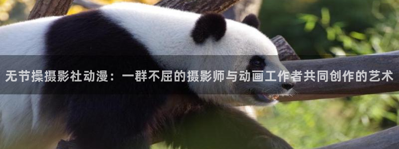 推荐的里番动漫