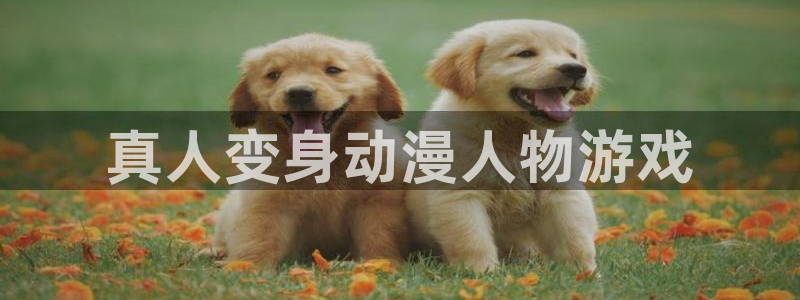里番漫画之海贼王：真人变身动漫人物游戏