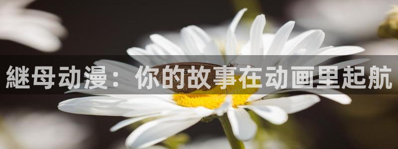 里番动漫网在线观看：継母动漫：你的故事在动画里起航