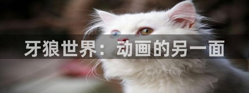 日本里番推荐：牙狼世界：动画的另一面