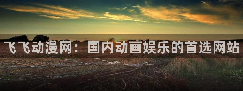 漫改里番：飞飞动漫网：国内动画娱乐的首选网站