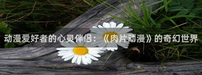 少女漫画里番：动漫爱好者的心灵伴侣：《肉片动漫》的奇幻世界