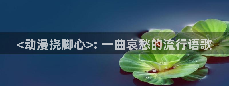 里番动漫免费看