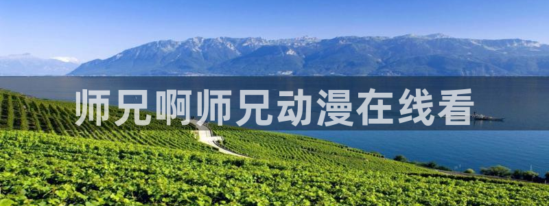 里番h动漫在线