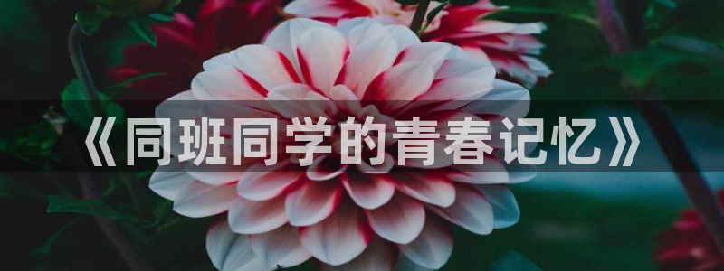 里番 动漫在线观看