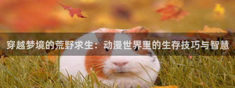 有什么好看的里番动漫