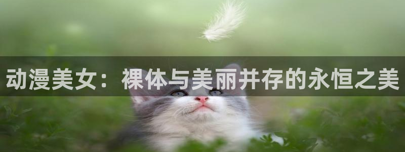 里番电影
