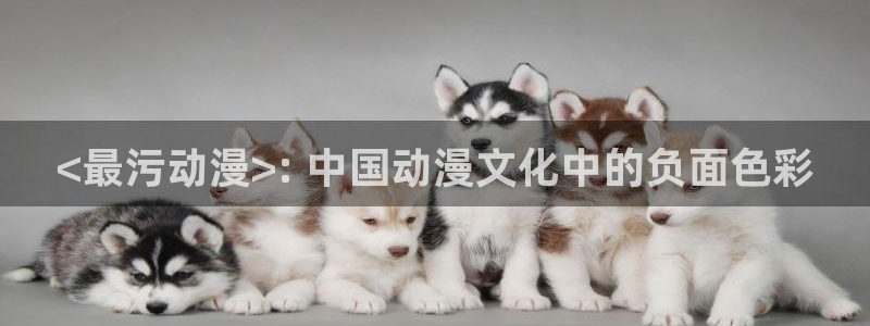里番动画网