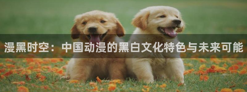 美女里番动漫