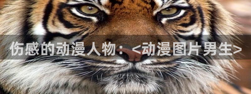 动漫里番网页