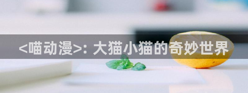 少女漫画里番无翼鸟