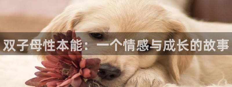 动漫里番网页