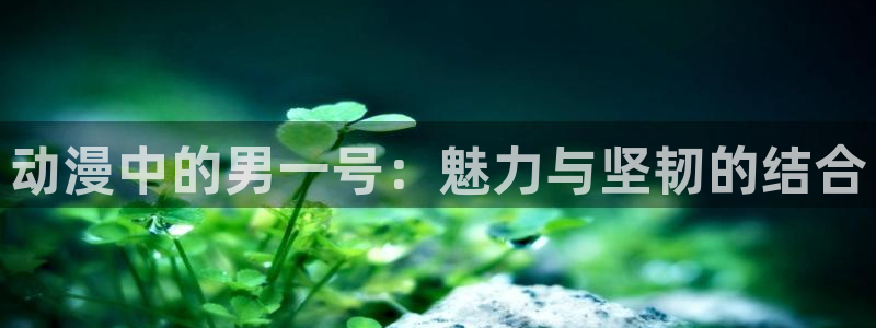 里番动漫免费下载