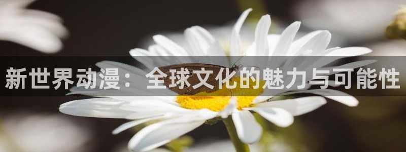 里番动漫在线观看